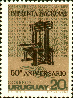 polysenior